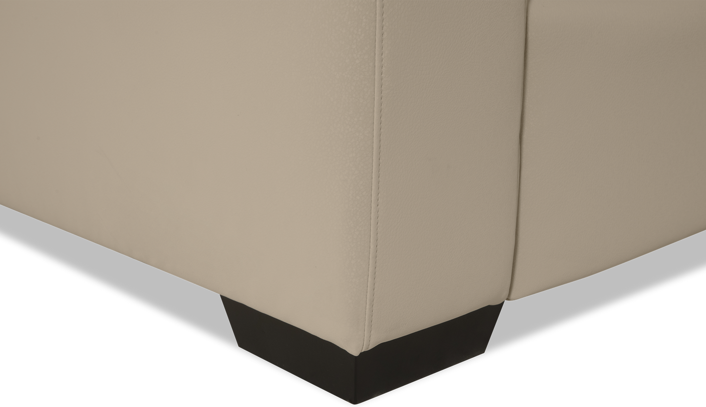 Ensemble Track Arm